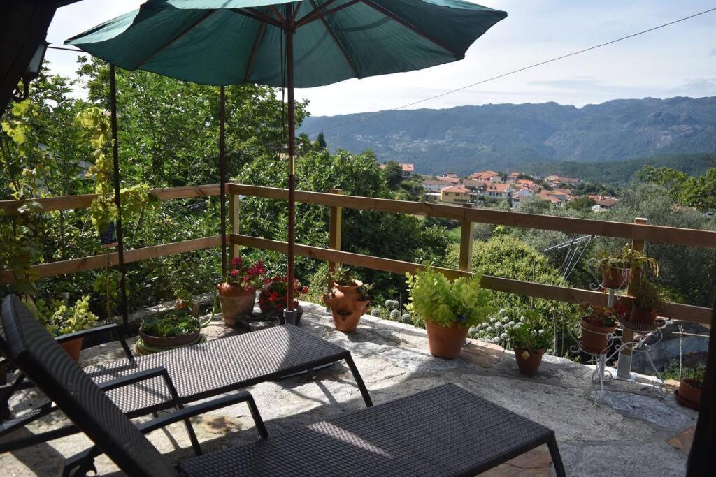 Villa Casinha Estrela Da Encosta - Geres Vieira do Minho Exterior foto